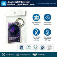 Creative Personalized Rotatable Record Design RFID Tag Acrylic NFC Music Album Player Keychain