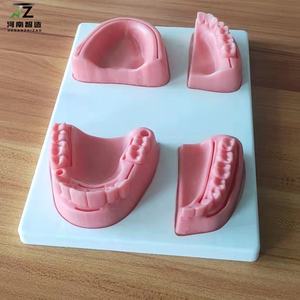 หุ่นฝึกเย็บแผลในช่องปากขนาดเท่าคนจริง พร้อมฐานและโมดูลฟัน สำหรับนักศึกษาทันตกรรม ฝึกอบรมการสอนขั้นสูง อุปกรณ์ทำจาก PVC - Product Image 3