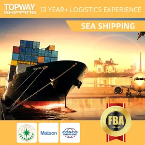 UPS DHL shipping agent freight forwarder China To USA UK Dubai Italy shipping agent