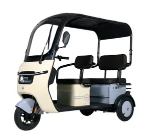 Les ventes directes en usine peuvent être personnalisées à une variété de scooters électriques pour plusieurs personnes
