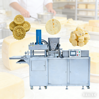 Machine à fromage entièrement automatique avec pression réglable ; Équipement de transformation laitière ; Machine à former des blocs de fromage.