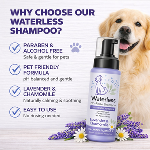Champú para Perros sin Agua de Marca Privada OEM, Champú para Mascotas sin Enjuague con Lavanda y Manzanilla |   Cuidado y Aseo Canino - Product Image 2