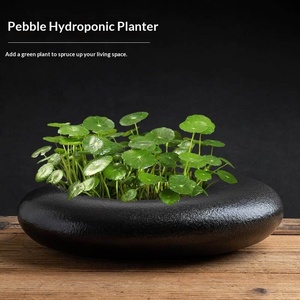 Non-perforated Minimalist Universal Hydroponic Flower <b>Pot</b> Simple Creative Pennywort Golden Kudzu Hydroponic Plants <b>Large</b> - Product Image 3