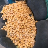 Éplucheuse de haricots secs de dernière conception Éplucheuse de peau de grain de fève de soja