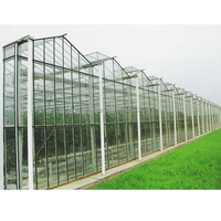 Serre agricole multi-chapelles IGREEN à dôme en verre flottant, panneaux en acier galvanisé, grande taille, pour culture hydroponique moderne