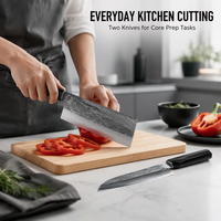 Ensemble de 2 couteaux de cuisine, lame en acier 7CrMoV, processus de forgeage, couteaux de cuisine avec manche en G10 pour couper, couteau de chef