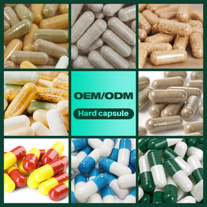 OEM Healthcare cápsula probiótica 50 bilhões CFU + 16 cepas clinicamente comprovadas cápsulas probióticas das mulheres suporte imunológico digestivo - Product Image 2