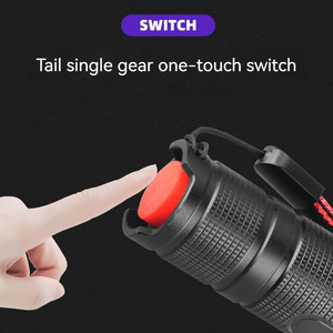 USB-C nhỏ cầm tay có thể sạc lại 365nm ánh sáng màu đen với zwb2 Đen filer <span class=keywords><strong>UV</strong></span> đèn pin cho vật nuôi nước tiểu tiền tệ Detector ID thẻ - Product Image 4