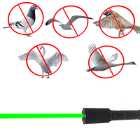 Lampe torche laser haute luminosité rechargeable, source laser, pour effrayer les oiseaux, pour fermes, jardins, aéroports