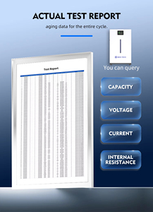 BEES TECH Eu Stock 16kwh 280ah 300ah 320ah 15kwh LiFePO4 51.2v Lifepo4/lfp Bms For <strong>Lithium</strong> Ion <strong>Battery</strong> Pack <strong>300</strong> <strong>Amps</strong> - Product Image 3