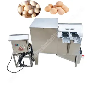 Salted Duck Washing Manual Automatic Hen Egg Cleaner Machine