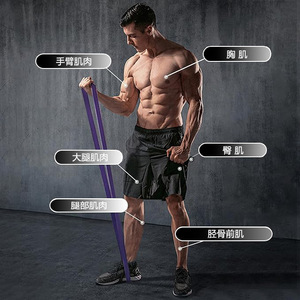 Bande de Résistance TPE 2080mm 4.5mm pour Fitness, Exercice, Traction, Squat et Yoga - Product Image 2