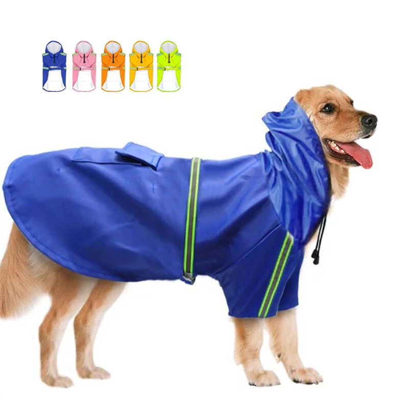 dog accessory for $1000