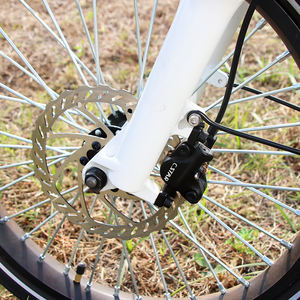 Bajaj <span class=keywords><strong>Re</strong></span> untuk Penumpang bermotor tur listrik dewasa 3 roda sepeda Quadricycle listrik taksi sepeda untuk 3 orang - Product Image 4