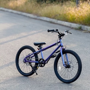 Vélo pour enfants à une vitesse, 24 pouces, pour les grands enfants - Product Image 3