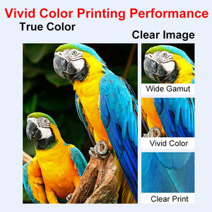 IBEST 006R01583 Cartuccia di Toner Nero Compatibile <span class=keywords><strong>Xerox</strong></span> 4110 4112 4127 4590 4595 6R1583 4110EPS 4112EPS 4127EPS 4590EPS Toner - Product Image 2