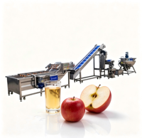 Ligne de production de concentré de jus de pomme en acier inoxydable avec évaporateur à film tombant et système de remplissage aseptique en vrac