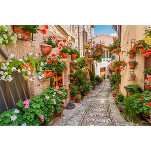 Fond <span class=keywords><strong>de</strong></span> <span class=keywords><strong>photographie</strong></span> antique européen : Allée, village, couloir fleuri, <span class=keywords><strong>maison</strong></span>, voyage, portrait, toile <span class=keywords><strong>de</strong></span> fond pour photocall - Product Image 4