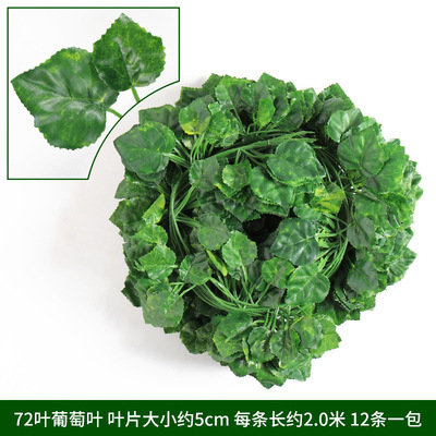 72 grape leaves (12 in total)