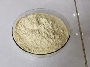 Natural Immunity Enhancement Gut Saúde Gummies probióticos Entrega rápida Wild-cultivado líquido extrato <span class=keywords><strong>yucca</strong></span> líquido - Product Image 5