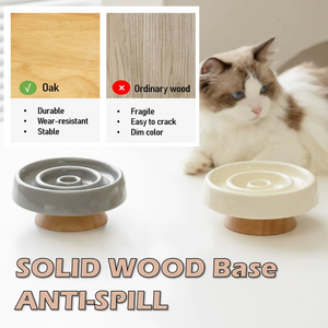 High Quality Eco-Friendly <b>Cat</b> Slow Food Bowl New Design Neck Protection Stainless Steel and PC Pet Dog <b>Feeder</b> - Product Image 6