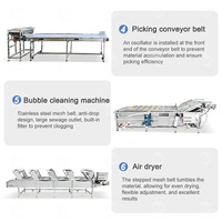 Usine de traitement d'écorce d'ail ORME Poudre d'ail industrielle Machine de fabrication de poudre d'ail Ligne de production