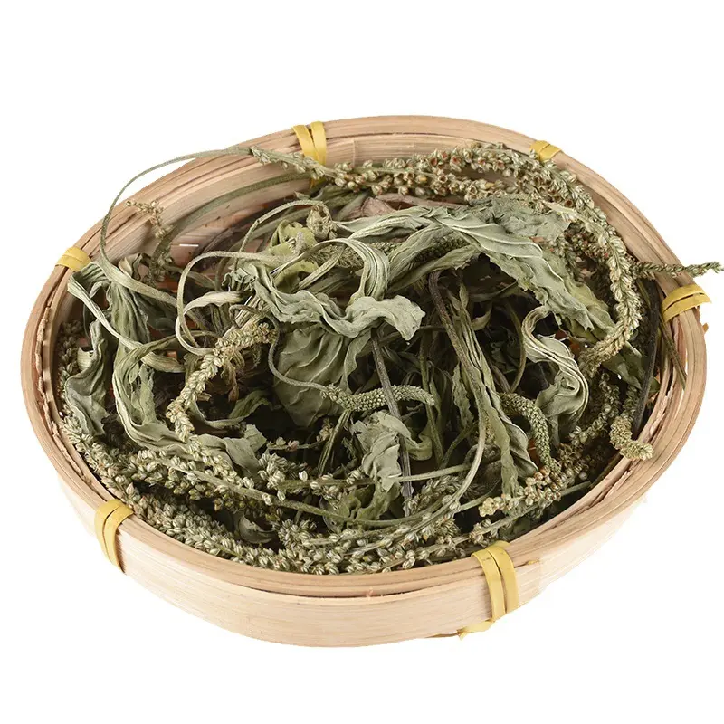 Bán buôn che QIAN cao mới số lượng lớn plantaginis HERBA màu xanh lá cây khô Asiatic Plantain Herb để bán