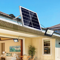 Lampe solaire extérieure 25w 40w 60w 100w 200w, étanche IP67, projecteurs LED avec panneau solaire/projecteur solaire extérieur