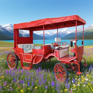 Sightseeing Carriage Victorian-style Electric Sightseeing Carriage <b>Double</b>-row Custom Multi-style Carriage Sells Well - Product Image 1