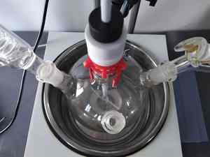 Micro-réacteur 2L en verre pour utilisation en laboratoire Réacteur de mélange efficace pour réactions chimiques et projets de recherche - Product Image 3