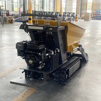 Mini-Raupenlader-Dumper Briggs&Stratton Benzinmotor Hohes Lastmoment Hydrauliksystem Kostenloser Versand 1