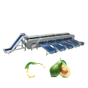 Automatic Roller Avocado Grading Machine Size Sorting Machine