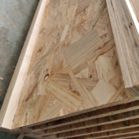 Panneau OSB-TG18 JIAMUJIA avec colle mélamine et surface non finie pour usage intérieur