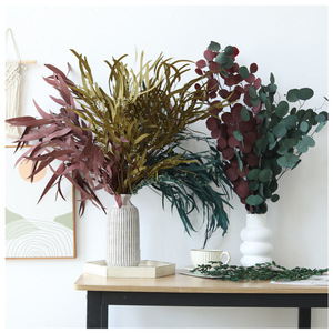 Hojas <span class=keywords><strong>de</strong></span> Eucalipto Plateado Preservadas al por Mayor, Ramillete <span class=keywords><strong>de</strong></span> 70 cm para Decoración del Hogar en Halloween y Graduación - Product Image 4