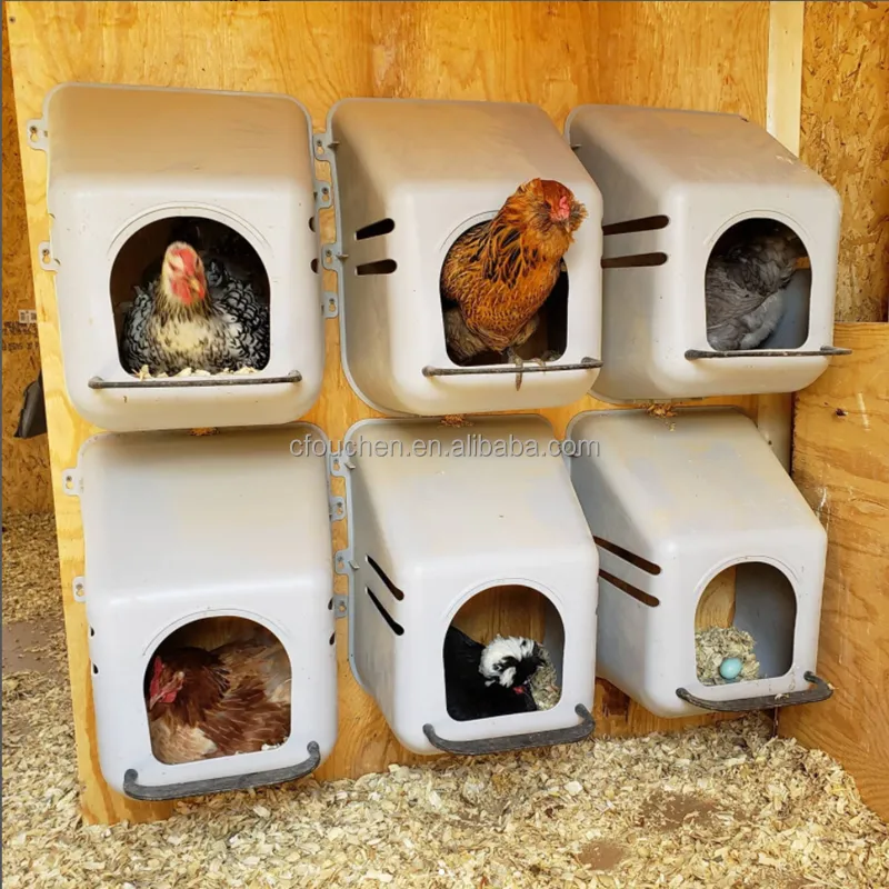 Ouchen caixa de plástico único frango nesting caixas nest nest caixa de galinha à venda