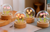 Kit DIY Veilleuse LED Tulipe Artificielle en Verre avec Mini Boule de Cristal Kanglong - Petite Veilleuse à Dôme en Verre