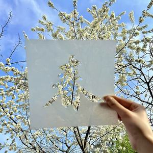 <b>Spring</b> Character Cutout Template A4 White Pet Material Outdoor <b>Decor</b> For <b>Spring</b> Season - Product Image 1