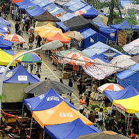 FEAMONT Carpa Plegable Resistente Económica en Oferta 3x6M con Estructura de Acero Pintado con Polvo y Revestimiento Plateado 150D para Puesto de Mercado