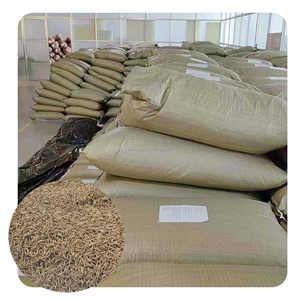 Vers de farine jaunes séchés pour animaux de compagnie, <span class=keywords><strong>insectes</strong></span> séchés, aliments riches en protéines pour poissons - Product Image 2