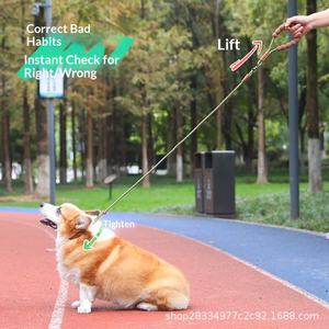 Correa <span class=keywords><strong>de</strong></span> Adiestramiento para <span class=keywords><strong>Perros</strong></span> Ajustable y Anti-Rotura, Tipo P-Leash/P-Rope, para Uso en Exteriores, para <span class=keywords><strong>Perros</strong></span> Grandes/Medianos/Pequeños - Product Image 2