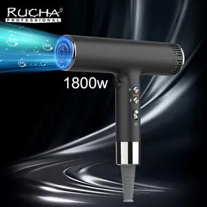 2023 blow dryer BLDC motor 110000rpm brushless high speed hair dryer set professional salon
