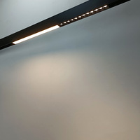 Système d'éclairage sur rail magnétique LED 20 mm - Options de grille linéaire, projecteur et COB certifiées CE ROHS CB