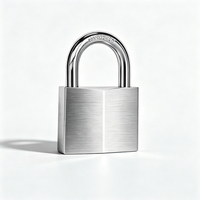 Cadenas de sécurité à double levier en alliage d'aluminium incrusté de diamants, modèle 30 mm, sans finition, pour valises