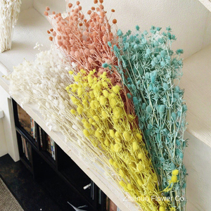 Accesorios de tiro de producción DIY, amante de las flores secas eternas, fruta, espina, apio, flores secas, Día de la madre, Navidad, respetuoso con el medio ambiente - Product Image 4