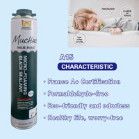 MUCHAO A15 750ml Mastic polyuréthane noir micro-moussant imperméable, monocomposant, adapté aux fenêtres et aux travaux extérieurs