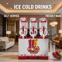 Machine à slush pour boissons glacées, 3 réservoirs, 12 L, 1200 W, machine à slush commerciale pour restaurant, bar