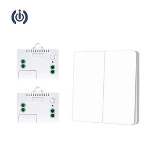 Good selling self charging remote switch 110V light switch with remote control wireless switch 433MHz