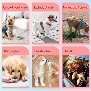 Couches jetables pour chiens femelles pour la miction de chiens dans la chaleur Pot Training <span class=keywords><strong>Incontinence</strong></span> Solution efficace pour animaux de compagnie - Product Image 2
