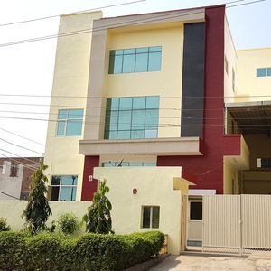 Tinte de Henna para el cabello, producto Natural y profesional, Color rubio, Herbal, fabricante OEM - Product Image 5