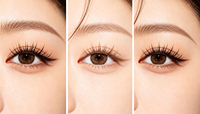 Extensions de cils préfabriquées 5DYY style Flying Fox, volume BSF, naturelles, longues, faites à la main, sans cruauté, faciles à poser, effet wispy